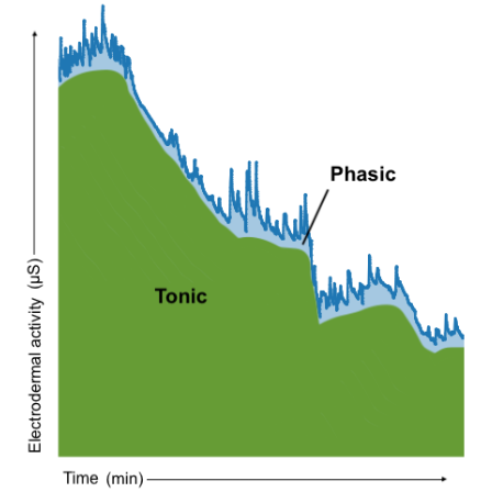 Graph of electrodermal activity